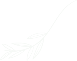 Vector